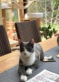 Tela (4)